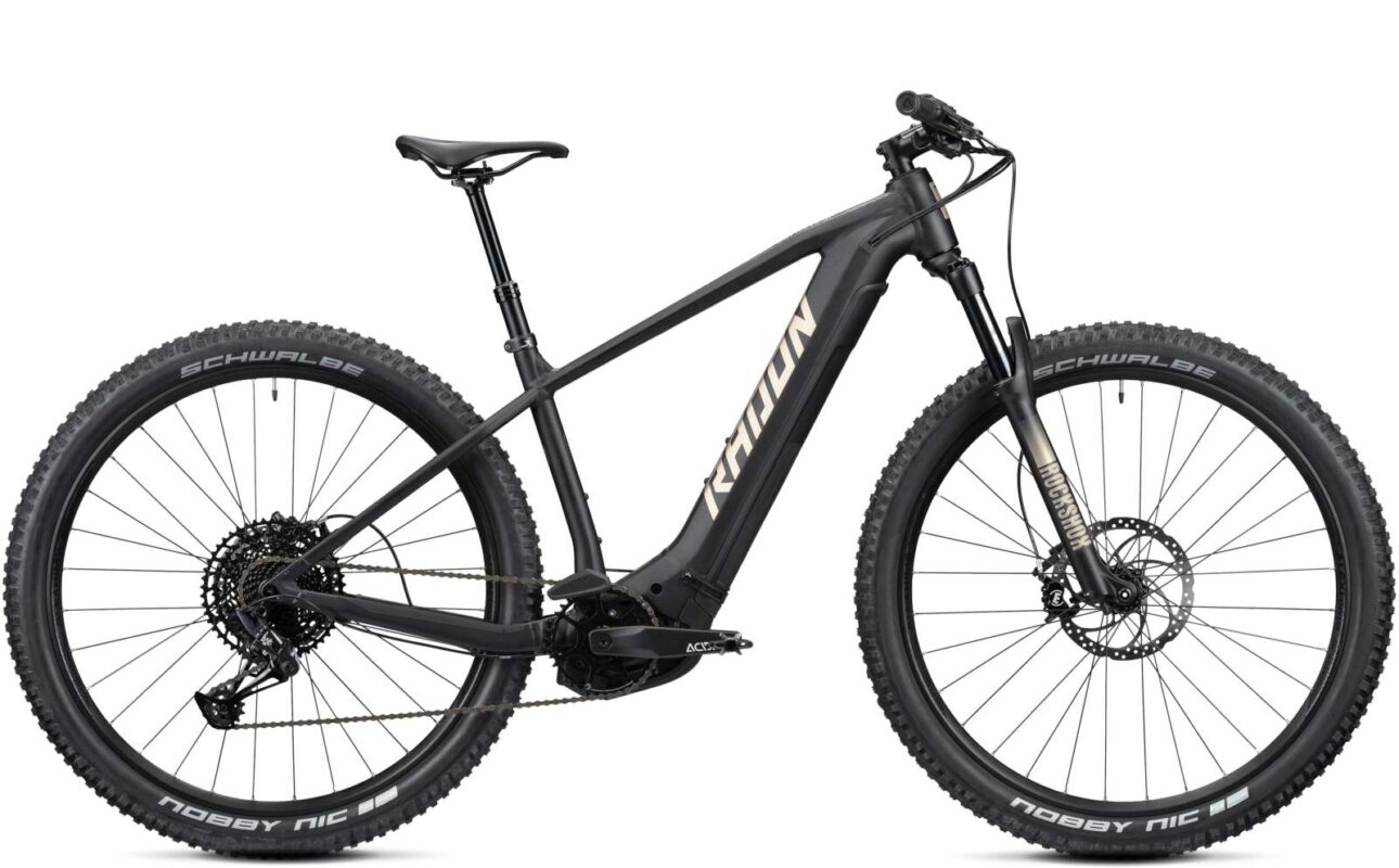 Radon Jealous Hybrid 9.0 625.01 1.jpg
