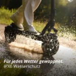 5 009db9ec ec68 4985 aea7 0b48b78c6175 800x.webp